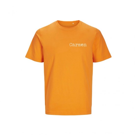 Koningsdag t shirt voor heren of dames   team kingsday on tour met namen 2